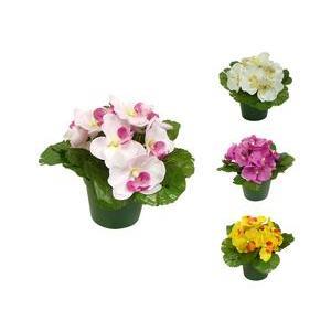 Potée d'orchidées - Plastique - 10 x H 17 cm -Blanc, rose ou jaune