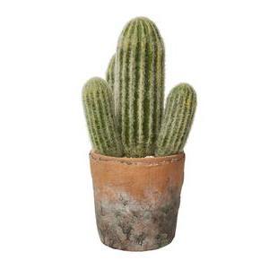 Cactus Roberto - ø 13 x H 31 cm - K.KOON