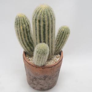 Cactus Roberto - ø 13 x H 31 cm - K.KOON