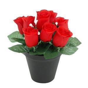 9 Roses en pot - H 20 cm - Rose, Orange, Rouge, Blanc