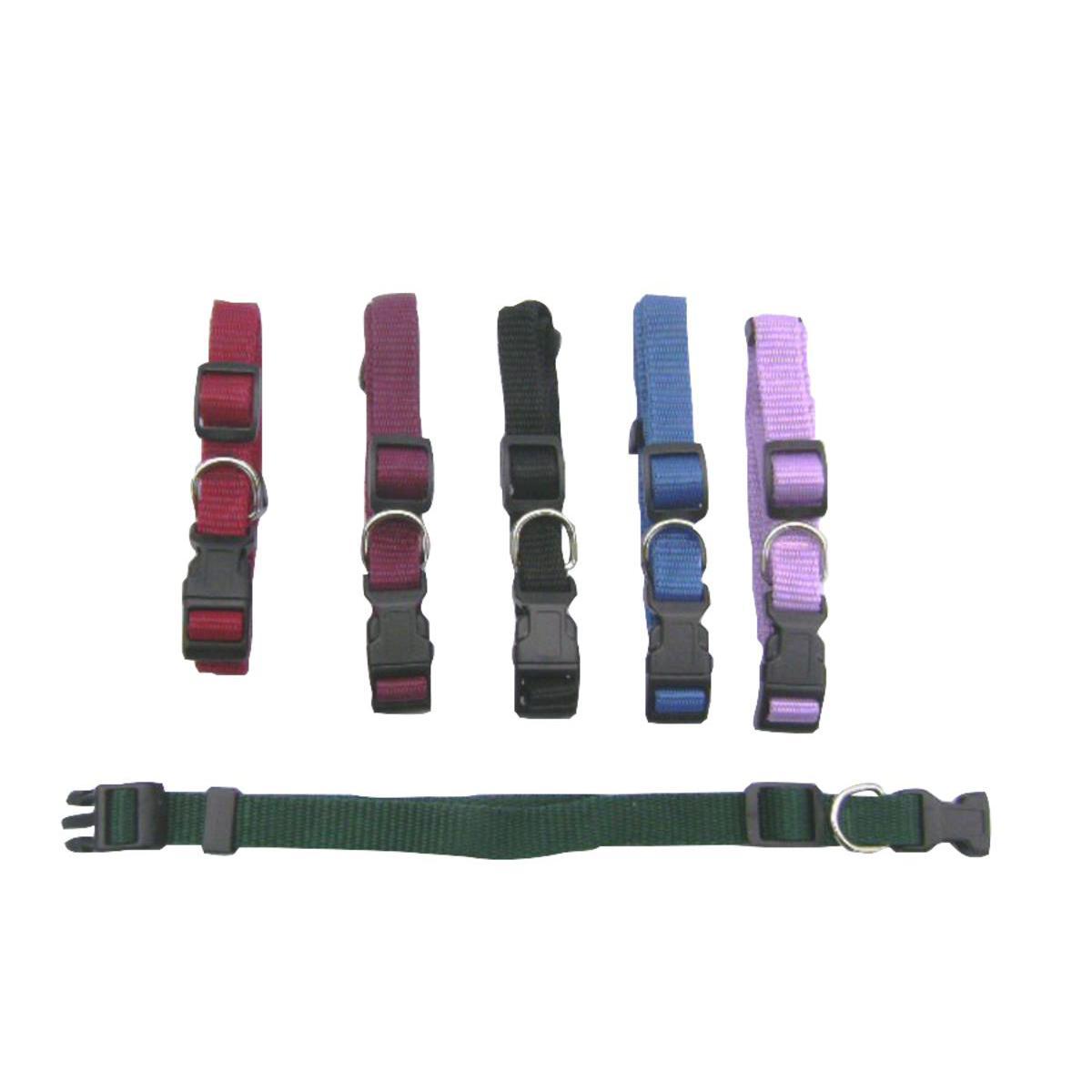 Collier réglable - Nylon - 1,6 x 23 à 35 cm - Noir, violet, vert, rouge ou bleu