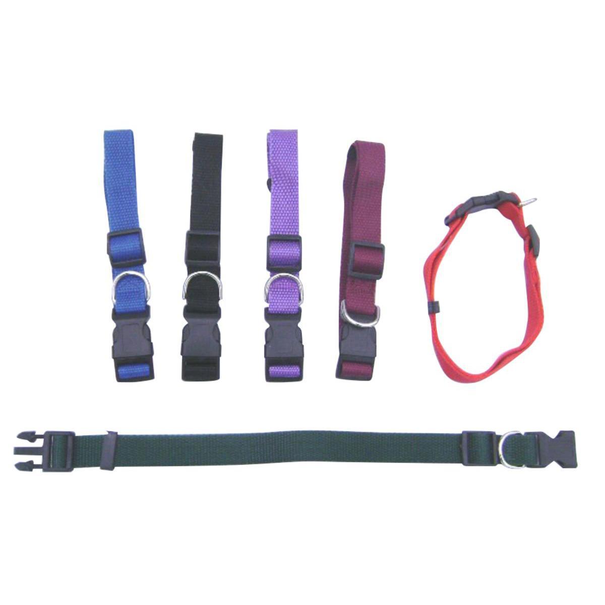 Collier réglable - Nylon - 2,5 x 43 à 65 cm - Noir, violet, vert, rouge et bleu