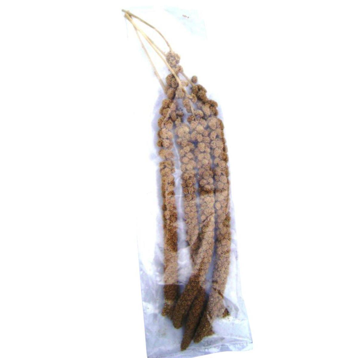 Millet en grappe - D 2,5 x 55 cm - Naturel