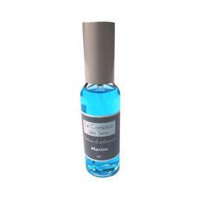 Parfum d'ambiance marine - Verre - 30 ml - Bleu