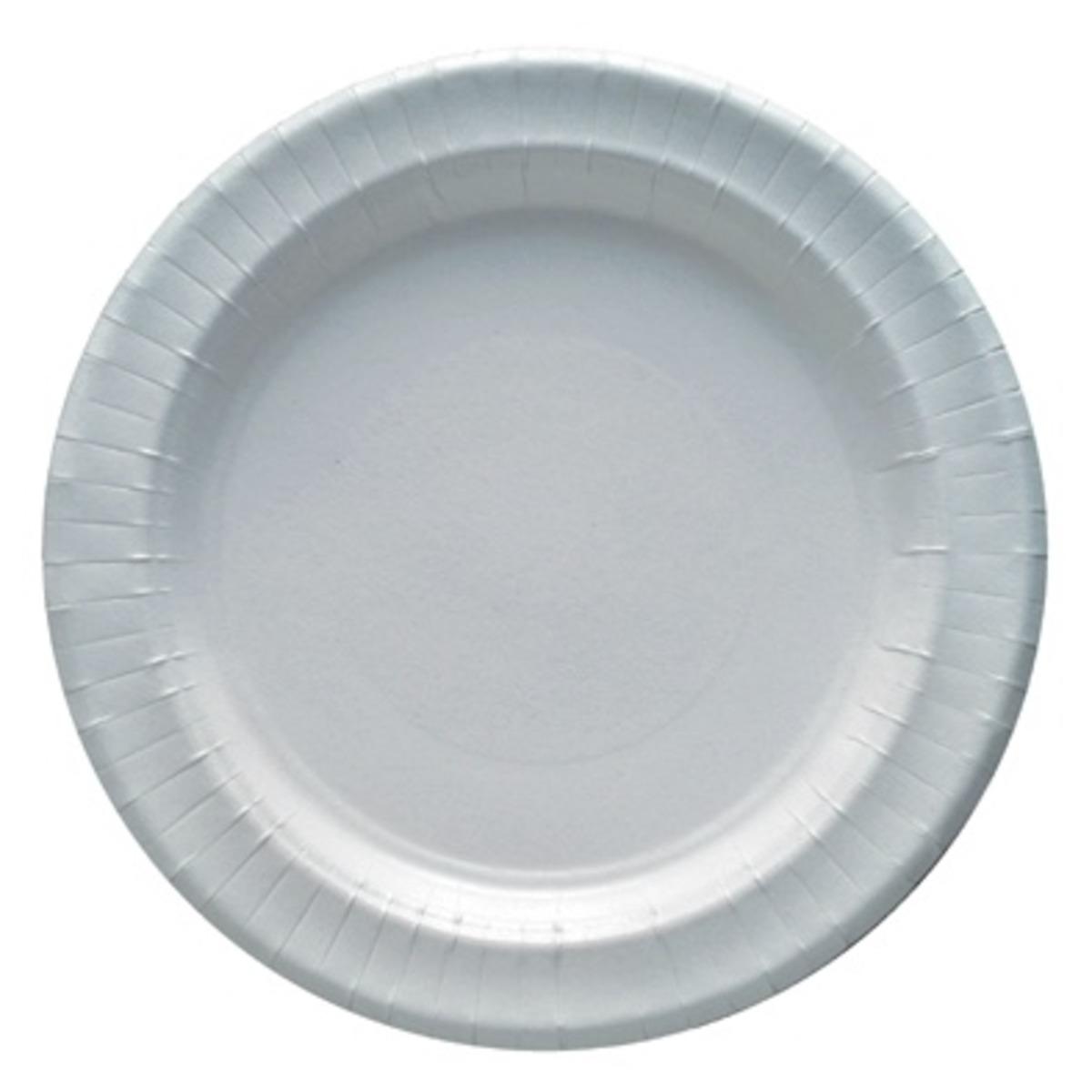 Lot de 12 assiettes en carton - 29 cm - Carton - Blanc