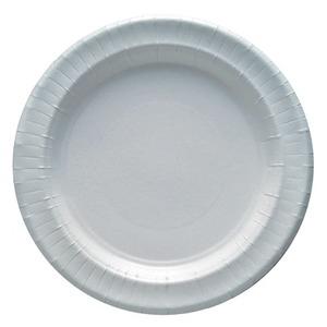 Lot de 12 assiettes en carton - 29 cm - Carton - Blanc