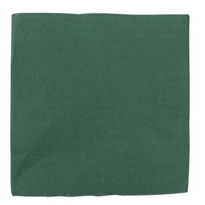 Lot de 40 serviettes en papier - 38 x 38 cm - Vert sapin