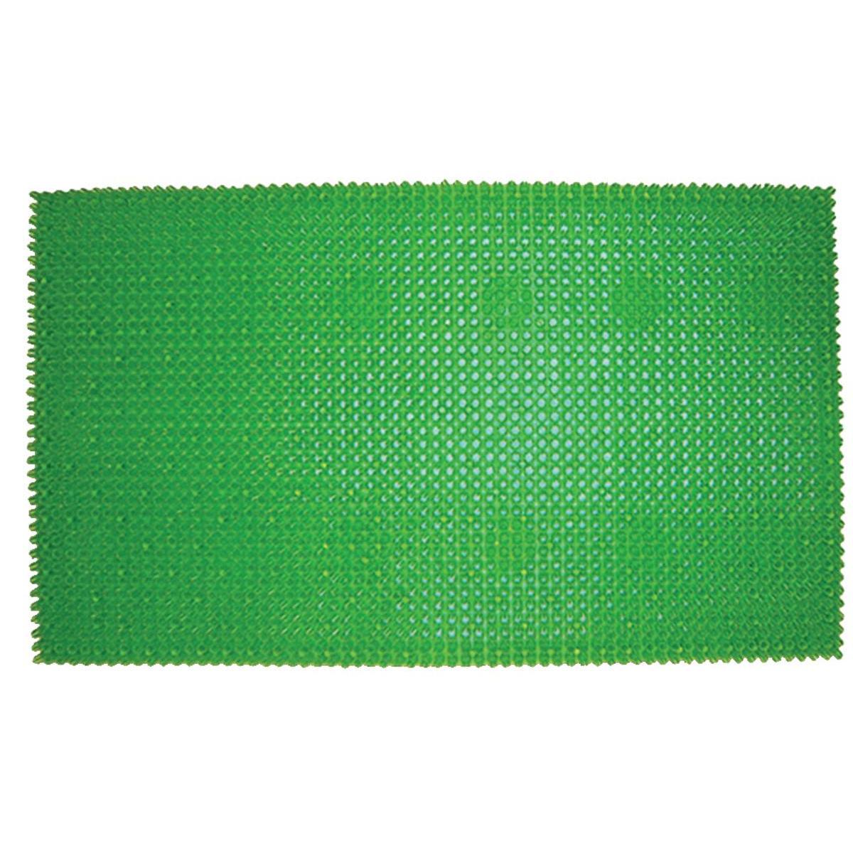 Tapis grattant - L 60 x l 40 cm - Vert