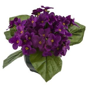 Coupe de 24 violettes - Lavande - Hauteur : 20 cm