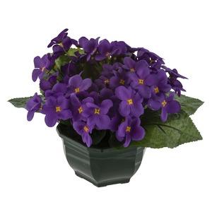 Coupe violettes artificielles - Hauteur 20 cm - Violet