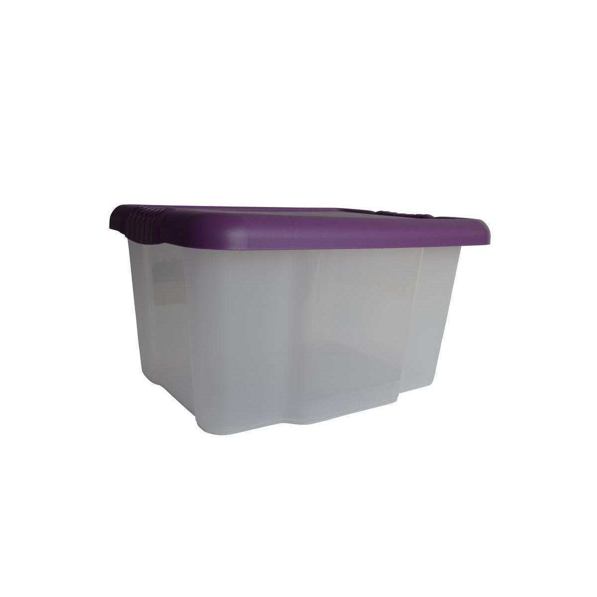Box de rangement avec couvercle - 22 litres - 43,5 x 34,5 x 23,5 cm - Violet, transparent