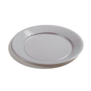 Lot de 20 assiettes - carton - diamètre 23 cm - Gris