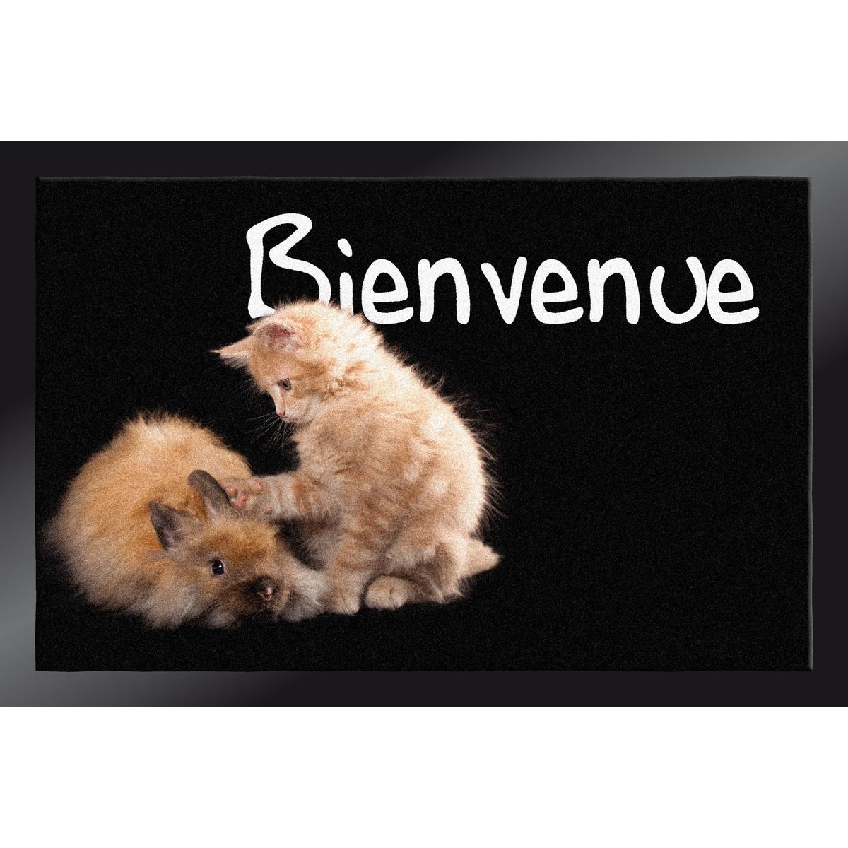 Tapis d'intérieur anti-poussière Decocity - 40 x 60 cm - Thème chatons noirs