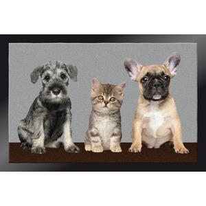 Tapis d'intérieur anti-poussière Decocity - 40 x 60 cm - Thème 2 chiens et un chat - Multicolore