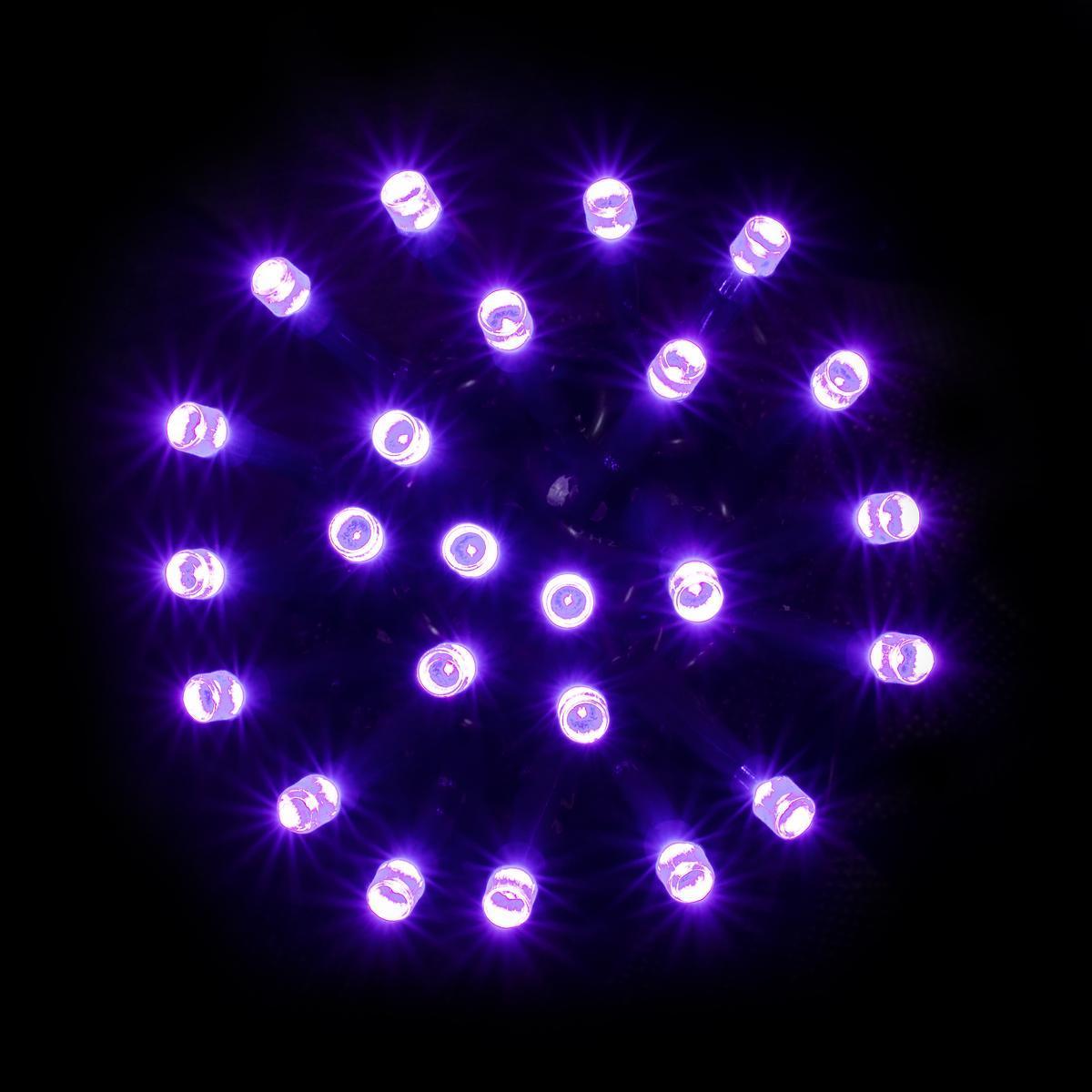 Guirlande électrique - Plastique - 5 mètres - Violet