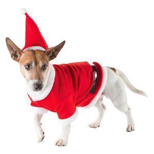 Costume de Noël pour chien - S, M ou L