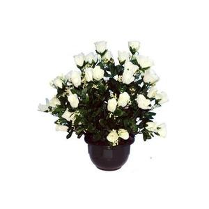 Coupe 48 roses + gypsophiles - Hauteur 55 cm - blanc crème
