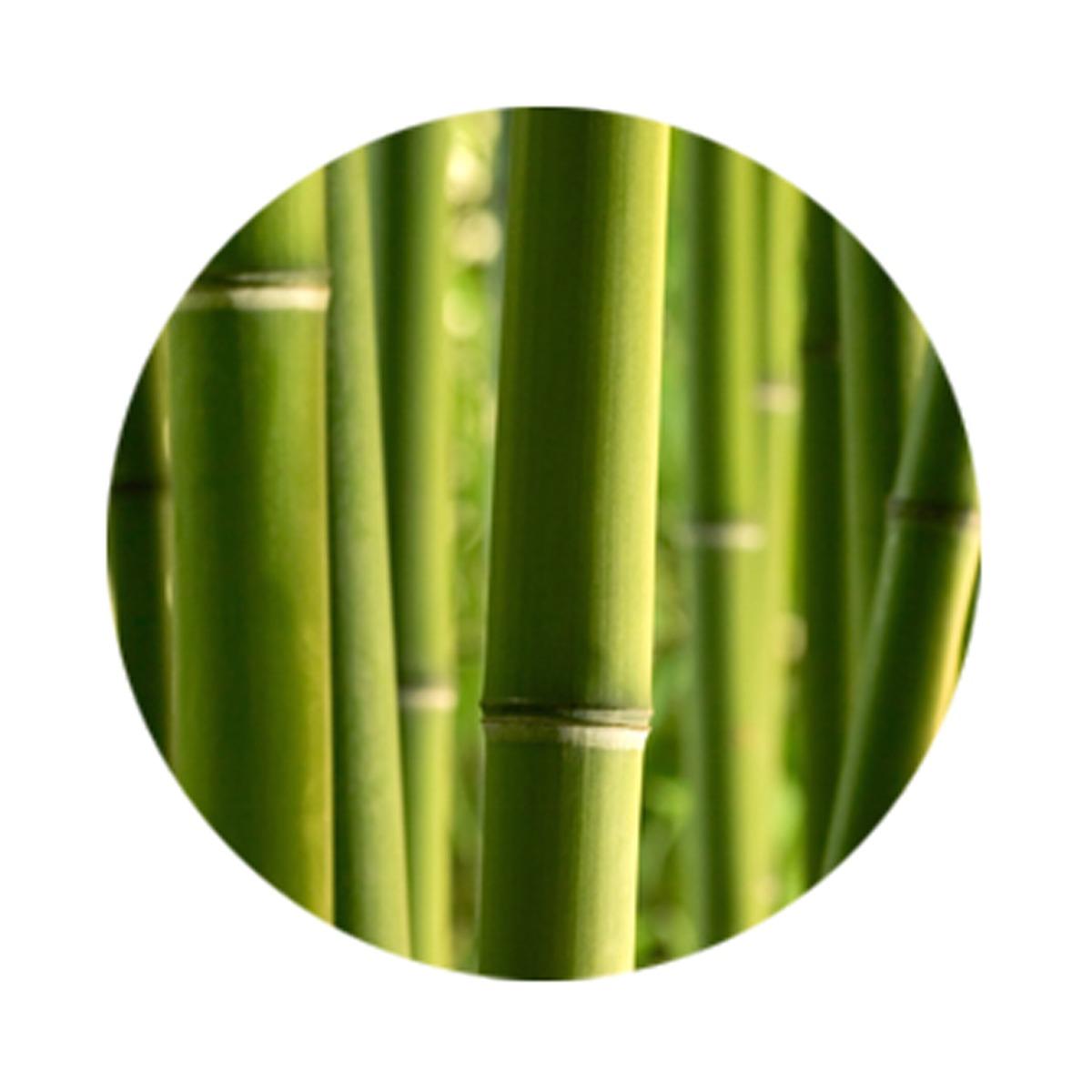 Assiette de présentation originale décor Bambou - Diamètre 33 cm - Multicolore
