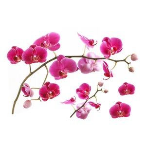 Sticker coloré Fleurs - 50 x 70 cm - Modèle Orchidée
