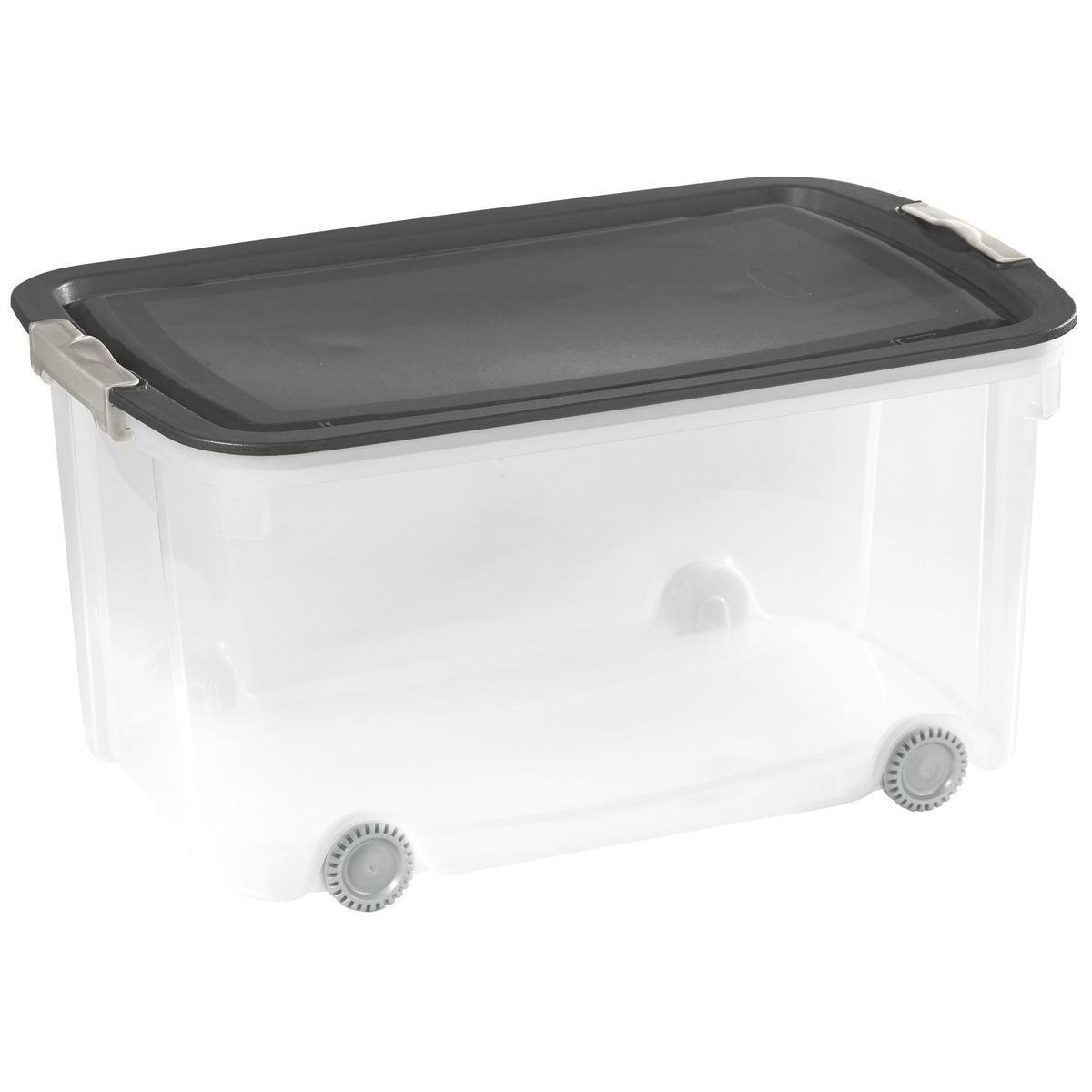 Box de rangement - Différents formats - 50 L - Transparent, gris