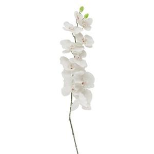 Tige orchidée givrée - Hauteur 110 cm - Blanc