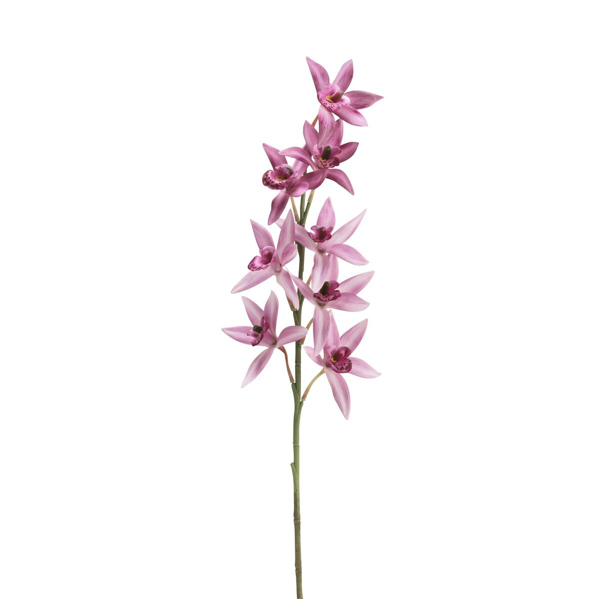 Tige d'orchidée sauvage avec vase - hauteur 77 cm - Différents modèles
