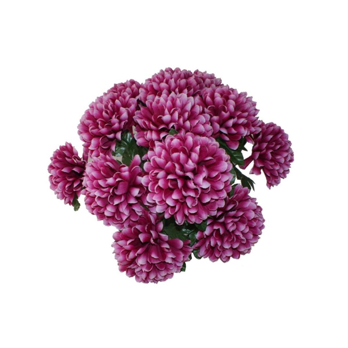 Piquet 12 chrysanthèmes boule - Hauteur 50 cm - Rose fushia