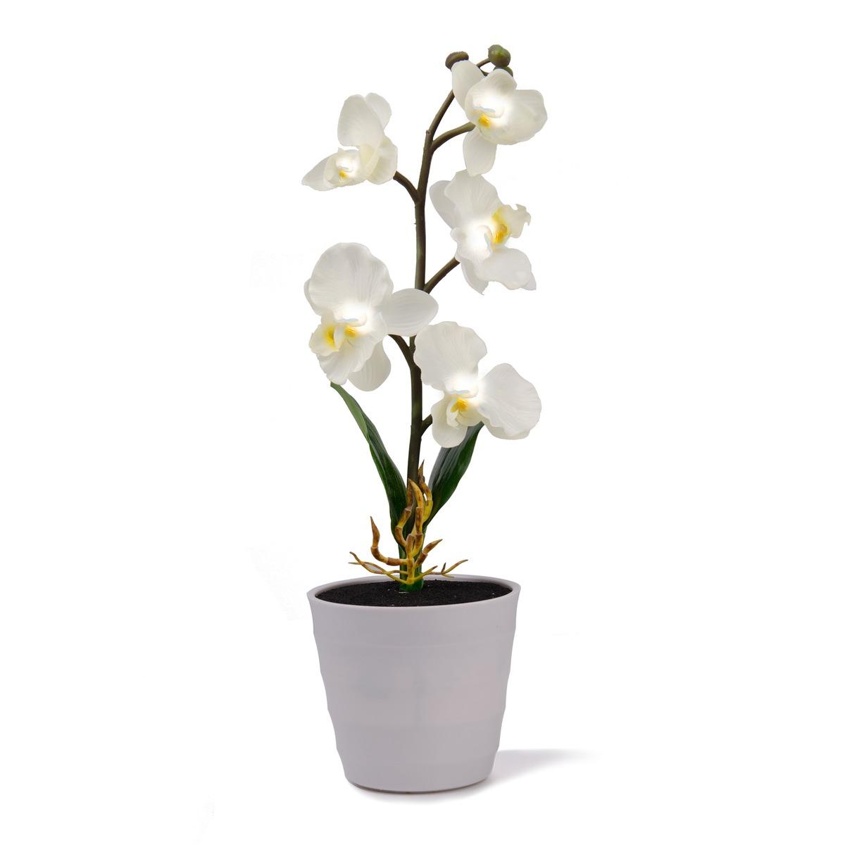 Pot orchidée 5 LED - 14 x 14 x H 40 cm - Blanc