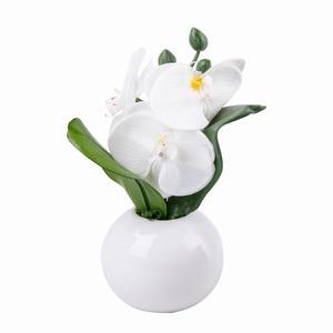 Composition orchidées 3 LED - 9,5 x 9,5 x H 22 cm - Blanc