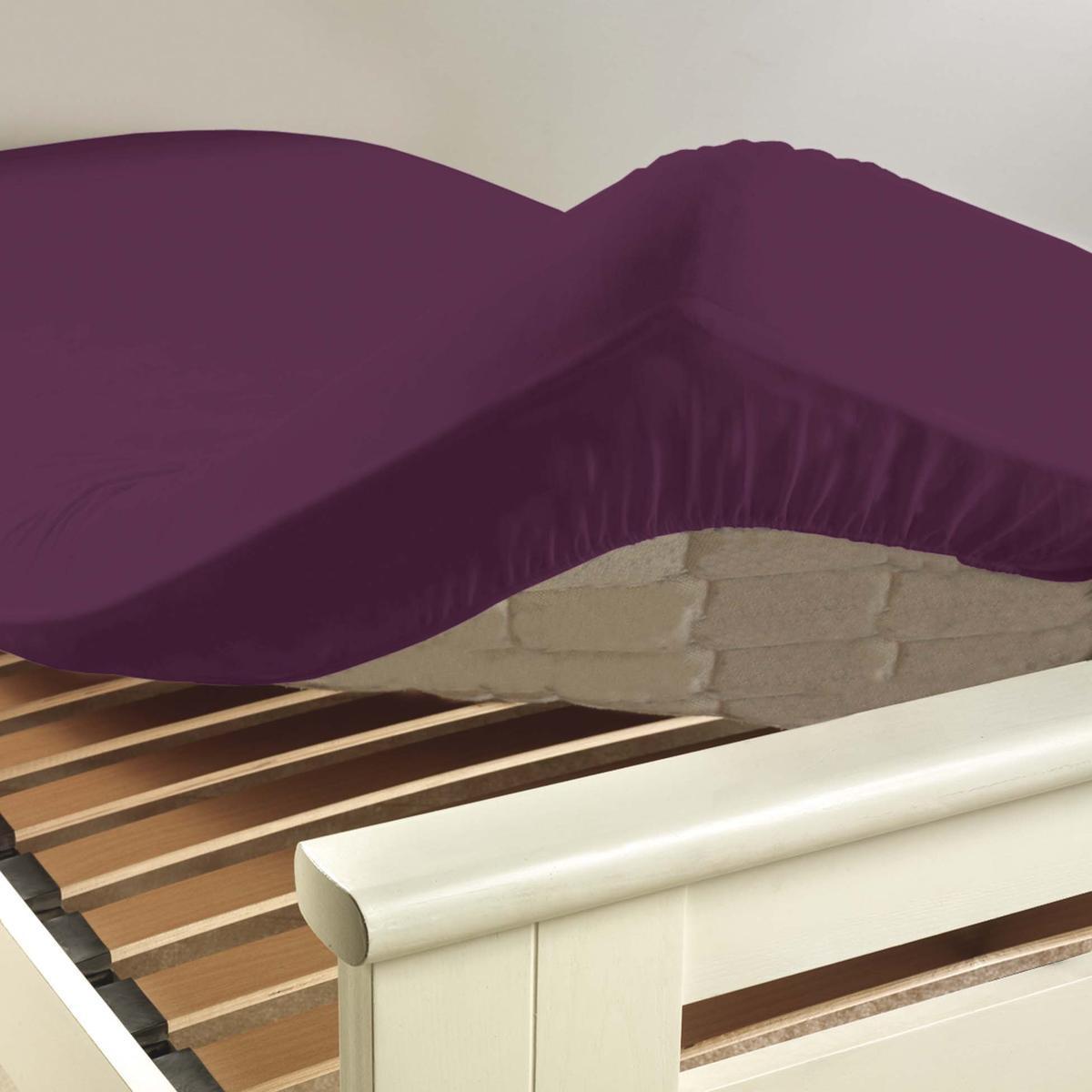 Drap housse 100% coton 57 fils 160 x 200 cm - bonnet 25 cm - violet