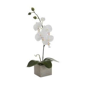 Orchidée 1 branche + pot - 8 x 8 x H 38 cm - gris, blanc