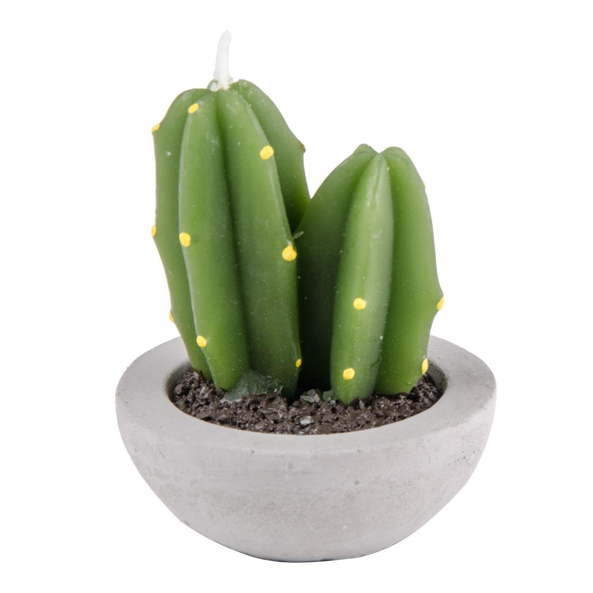 Bougie forme cactus - diamètre 6,5 x H 8,5 cm - vert