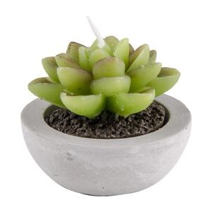 Bougie forme plante grasse - diamètre 6,5 cm - vert