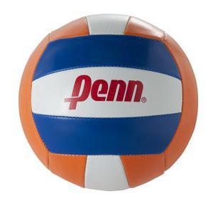 Ballon de volley - Polyuréthane - 21 x 21 x 21 cm - Différents coloris