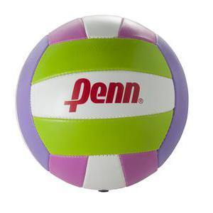Ballon de volley - Polyuréthane - 21 x 21 x 21 cm - Différents coloris