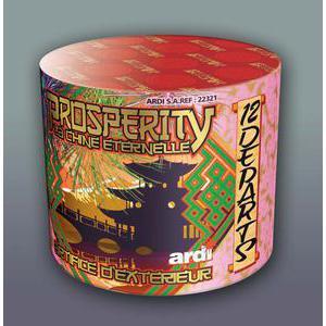 Feu d'artifice prosperity - Poudre explosive - 10,5 x 12,5 cm - Multicolore