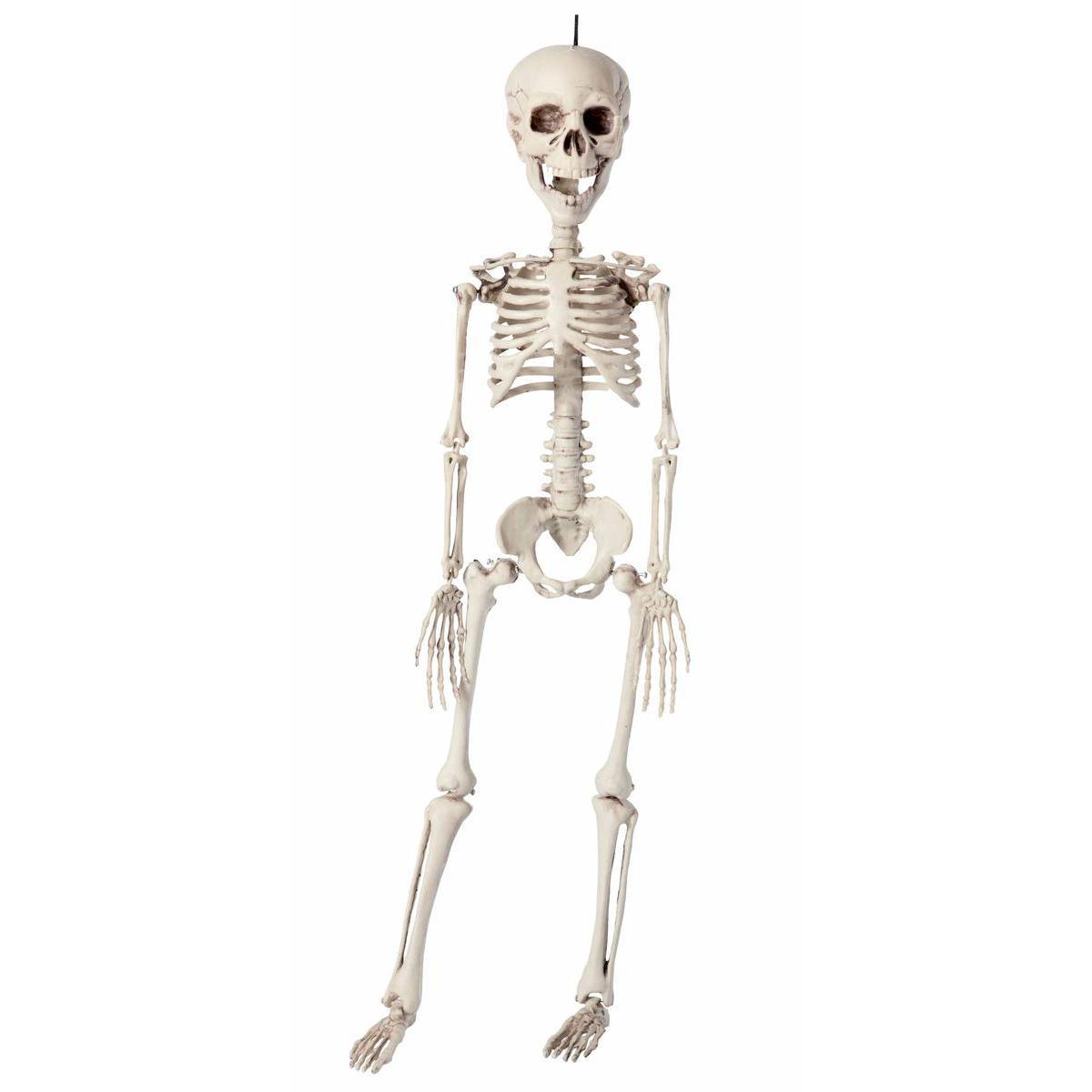 Squelette en plastique - 76 cm - Blanc