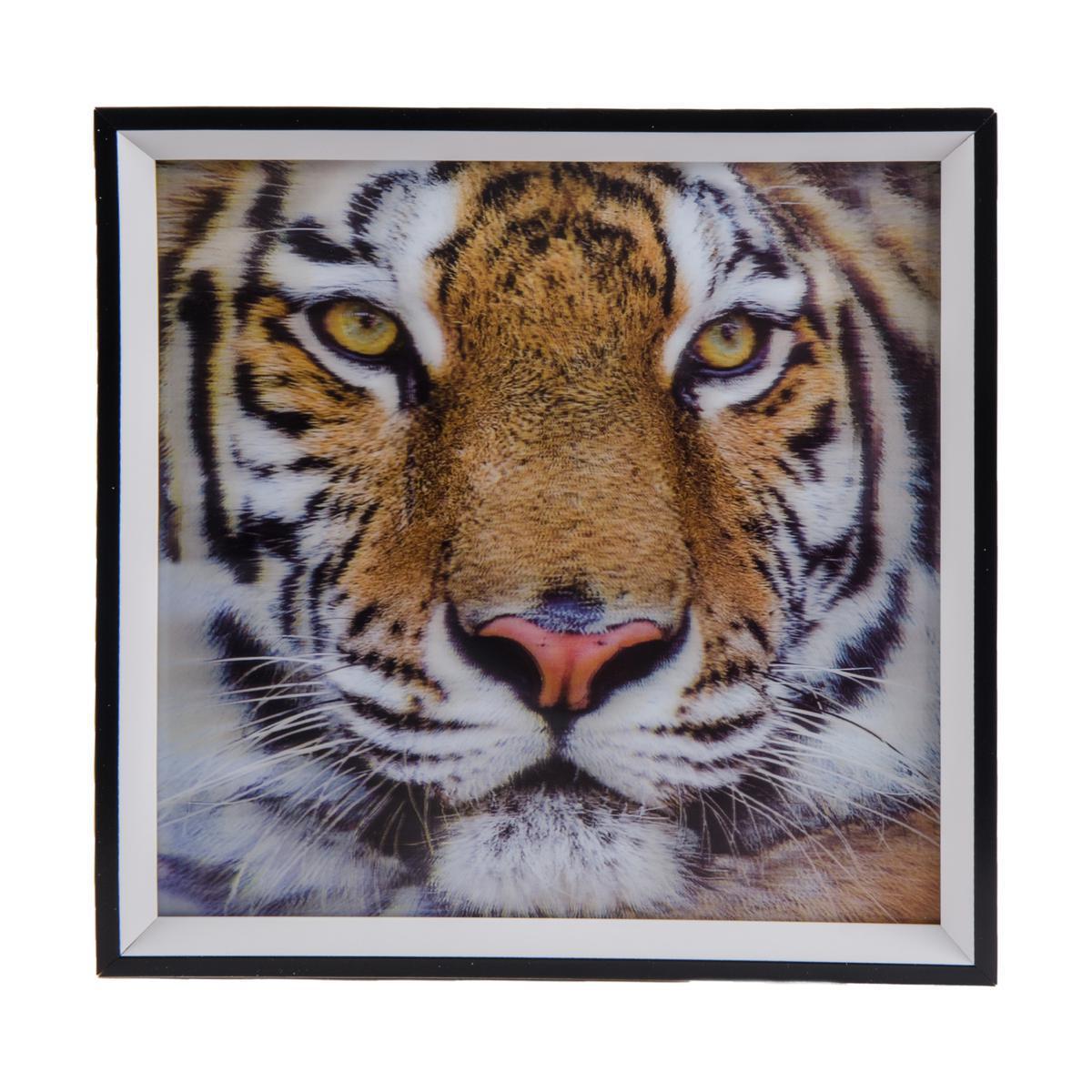 Image 3D encadré tigre en plastique - 33 x 33 cm - Multicolore