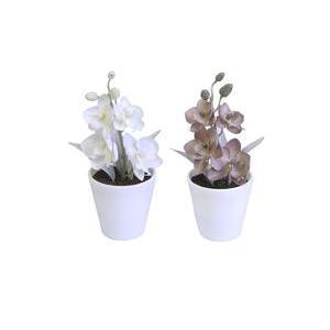 Pot d'orchidées - Polyester - H 17 cm - Blanc ou marron taupe