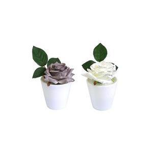 Pot rose - Polyester - H 17 cm - Blanc ou marron taupe