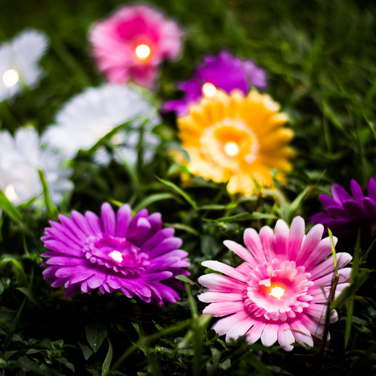 Guirlande solaire de 10 fleurs - Plastique - 3,8 m - Multicolore
