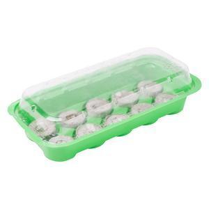Bac à semis avec 10 pastilles - Plastique et Coco compressé - 25 x 13 x H 4 cm - Vert
