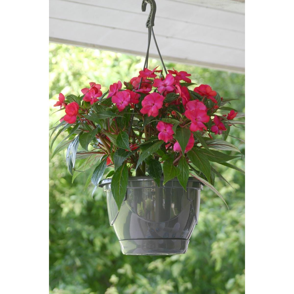 Suspension pour fleurs - Plastique - Ø 20 x H 13 cm - Gris anthracite