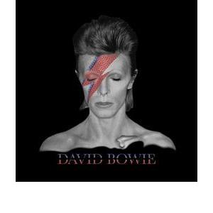 Toile David Bowie - Bois et coton - 30 x 30 cm - Gris et noir