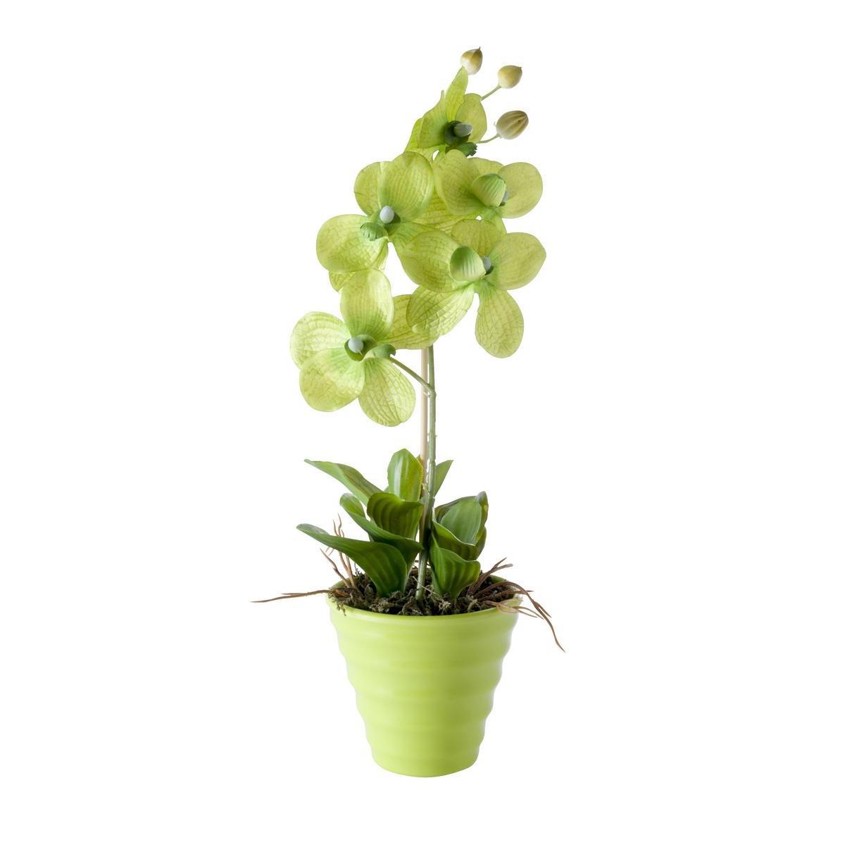 Pot orchidée - Plastique - H 30 cm - Différents coloris