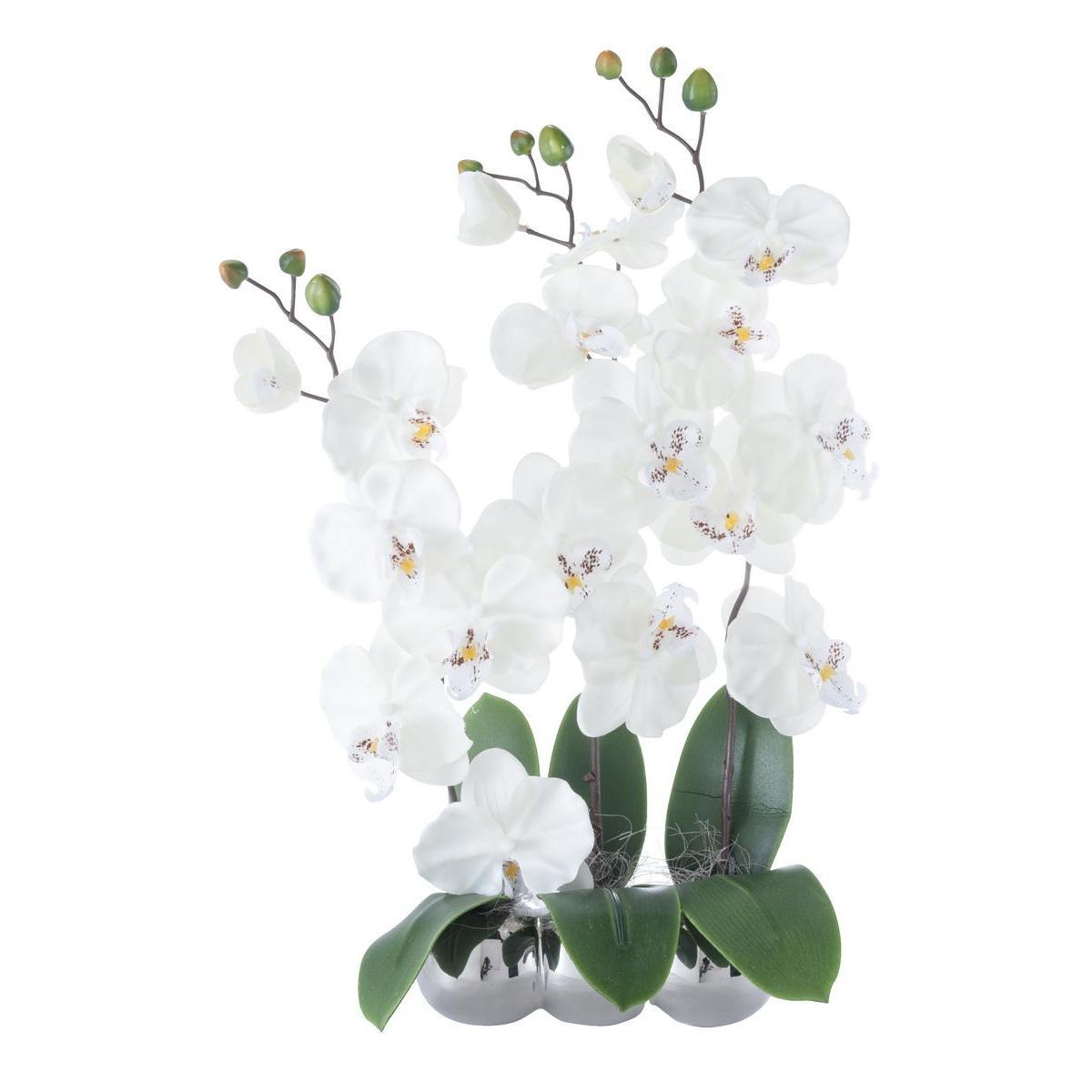 Orchidée - Plastique - Céramique - Blanc, vert et gris