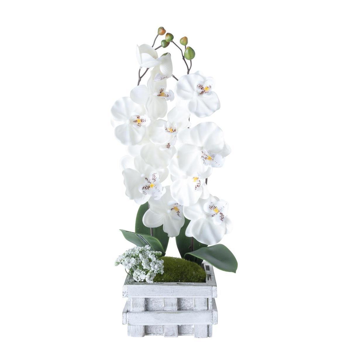 Orchidée - Plastique - Bois - Vert et blanc