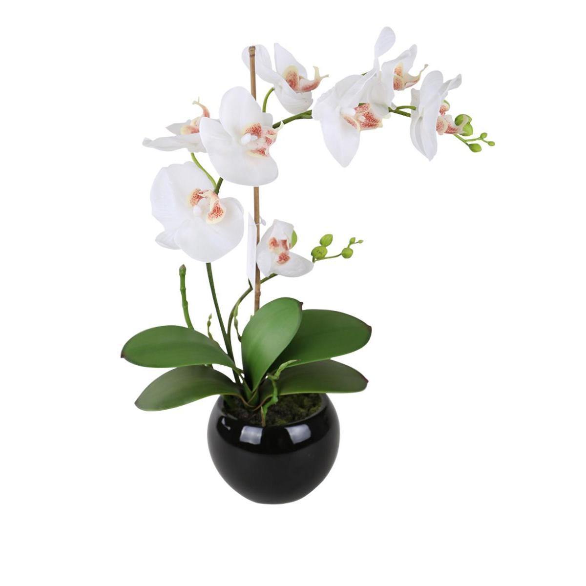 Orchidée en pot - Plastique et céramique - H 41 cm - Multicolore