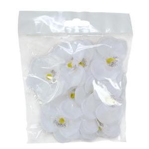 Sachet de 6 orchidées - Plastique - 6 x H 5 cm - Blanc