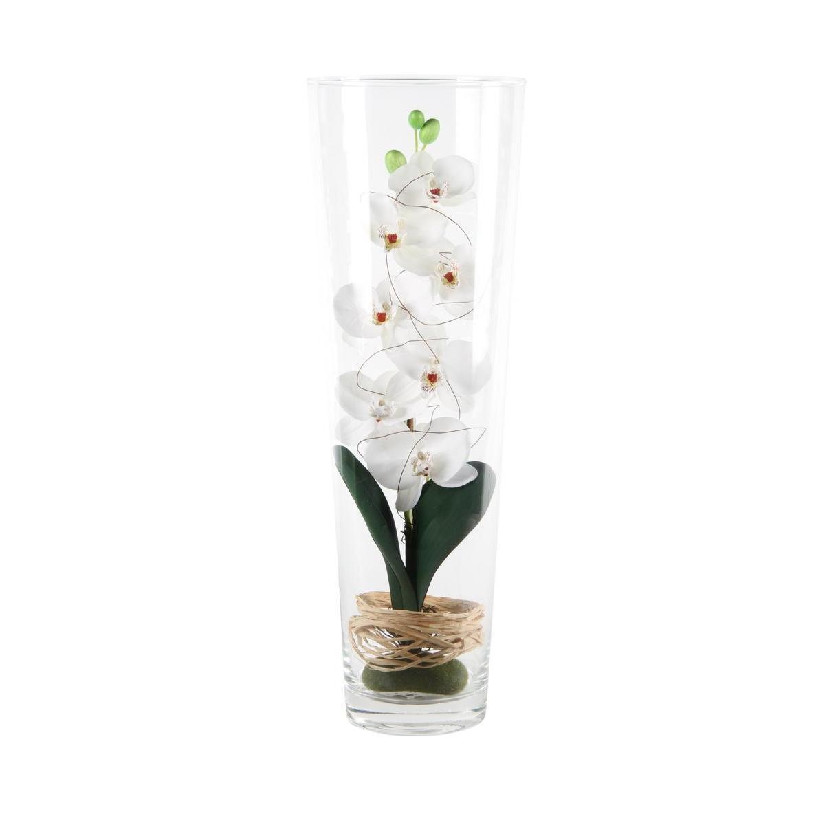 Composition orchidées - Plastique et verre - H 50 cm - Multicolore